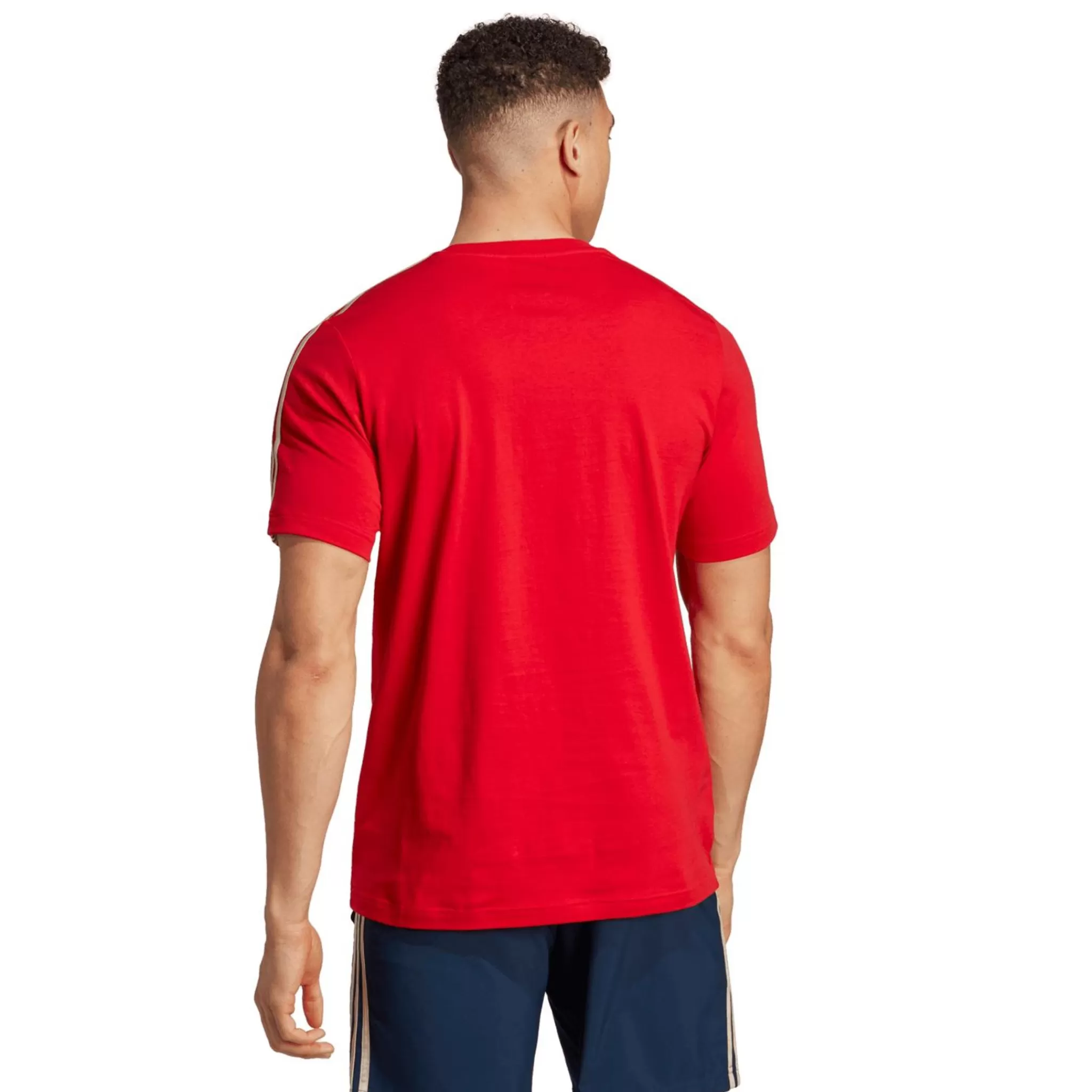 adidas Arsenal Fc Dna Tee, T-Skjorte, Herre