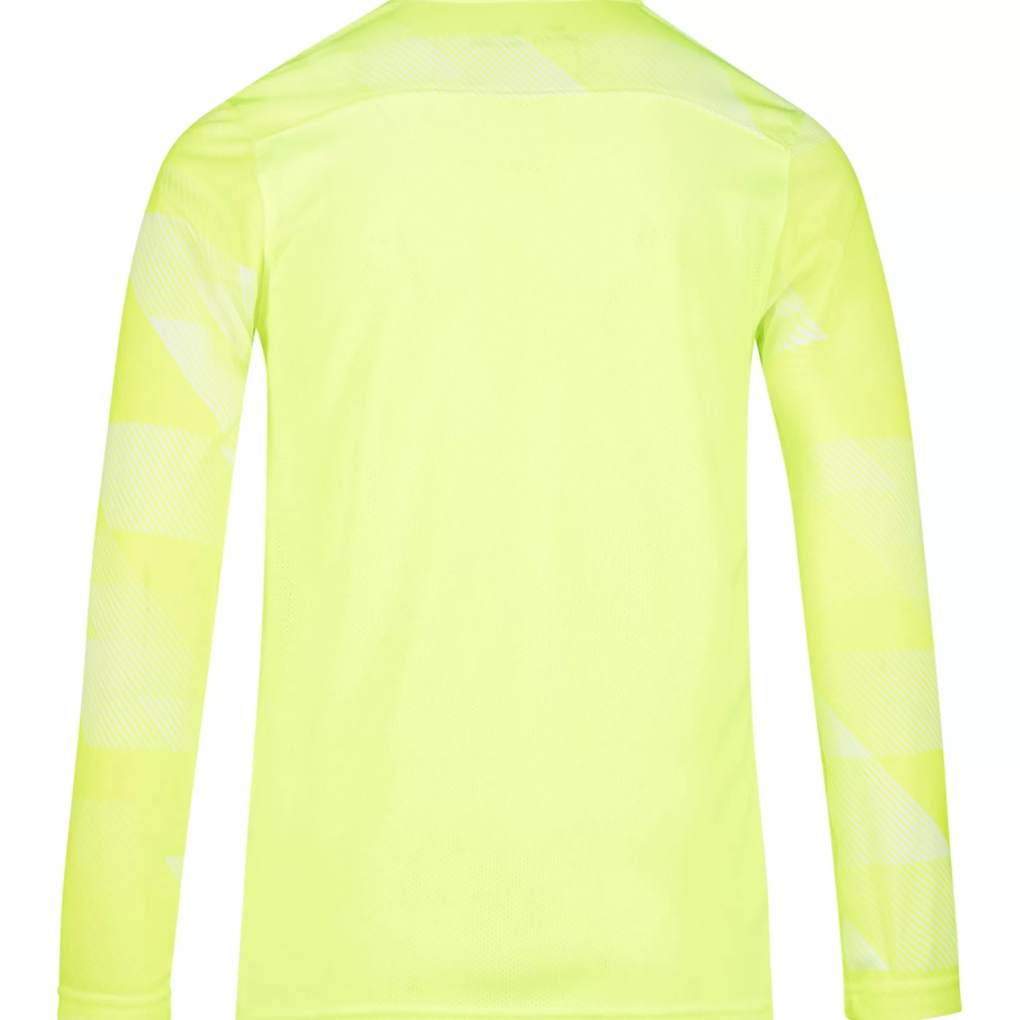 nike Dri-Fit Park Iv Jersey Long Sleeve Goalkeeper, Malvaktstroye Junior