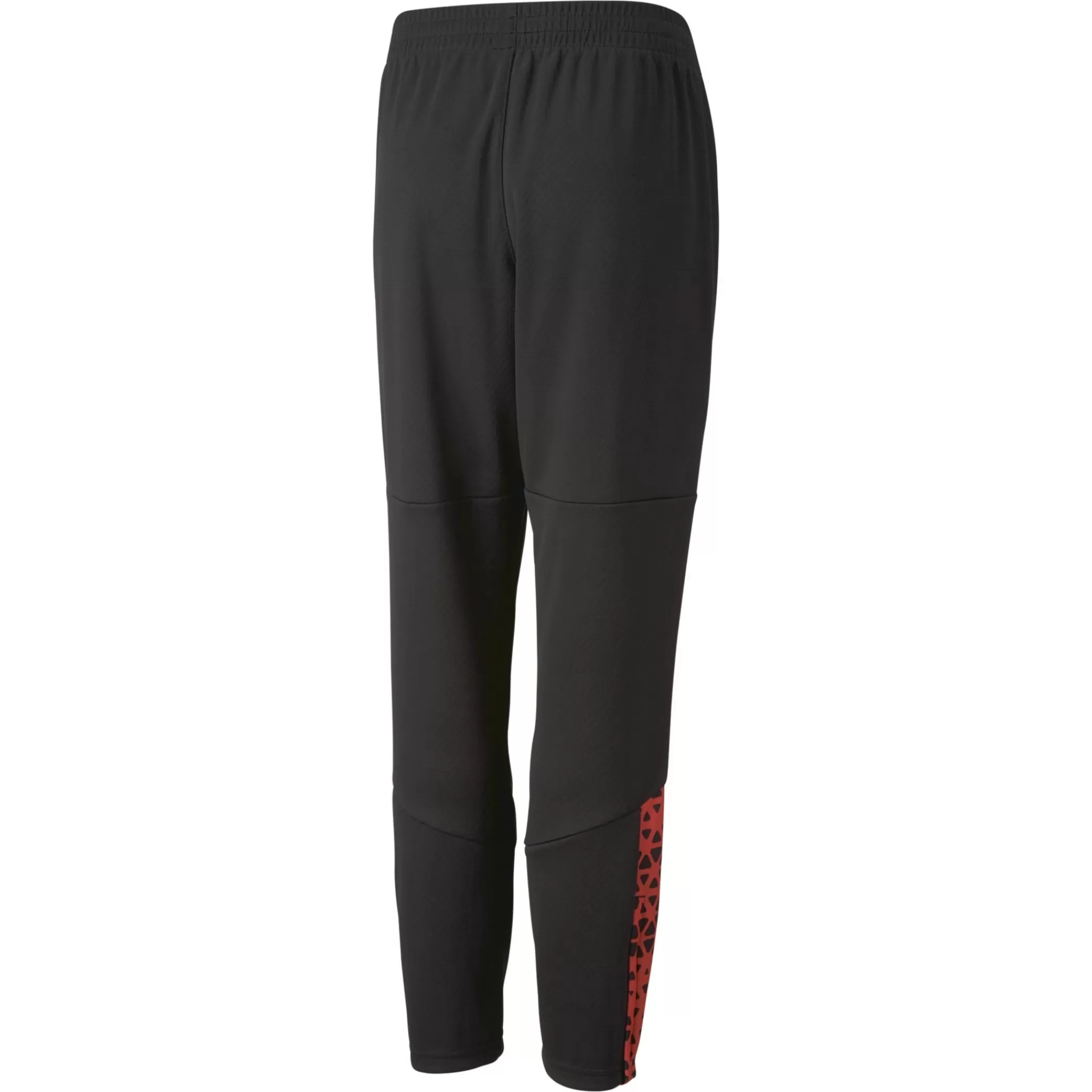 puma Individualcup Training Pants, Treningbukse, Junior