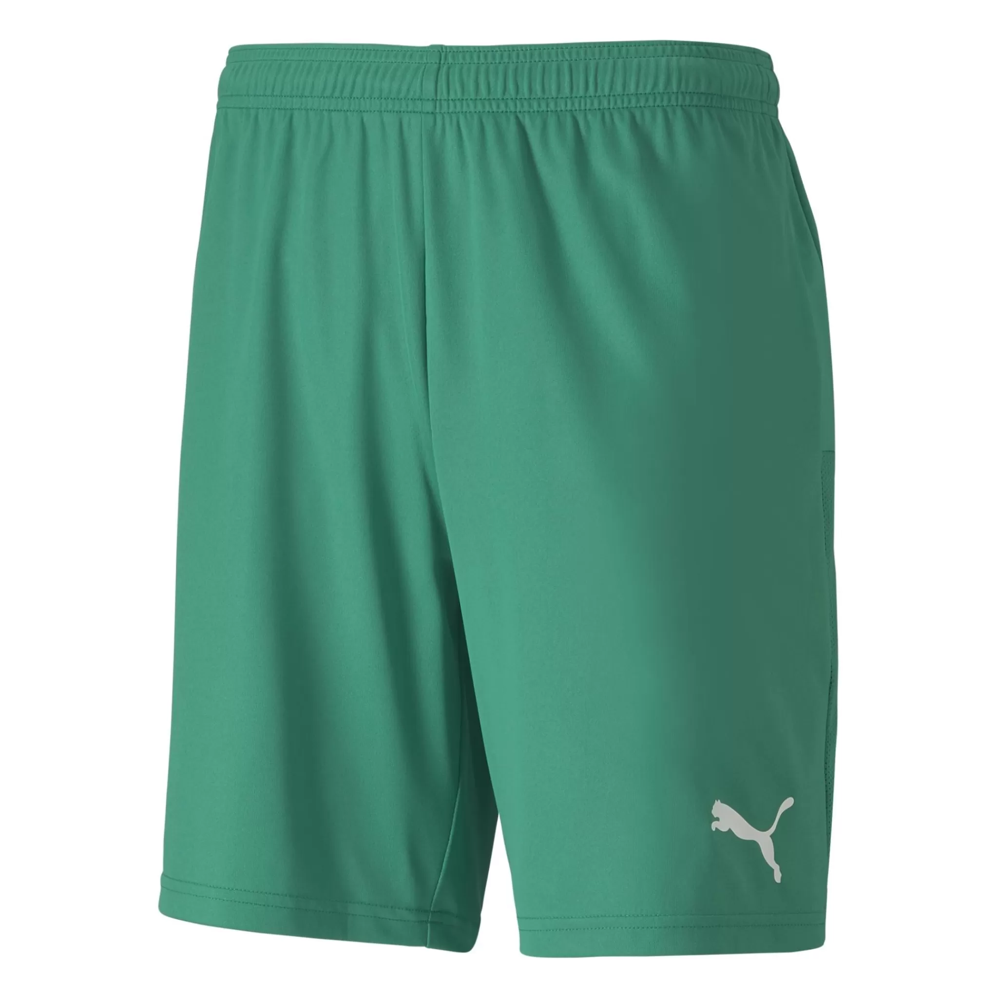 puma Teamgoal 23 Knit Shorts, Shorts Herre