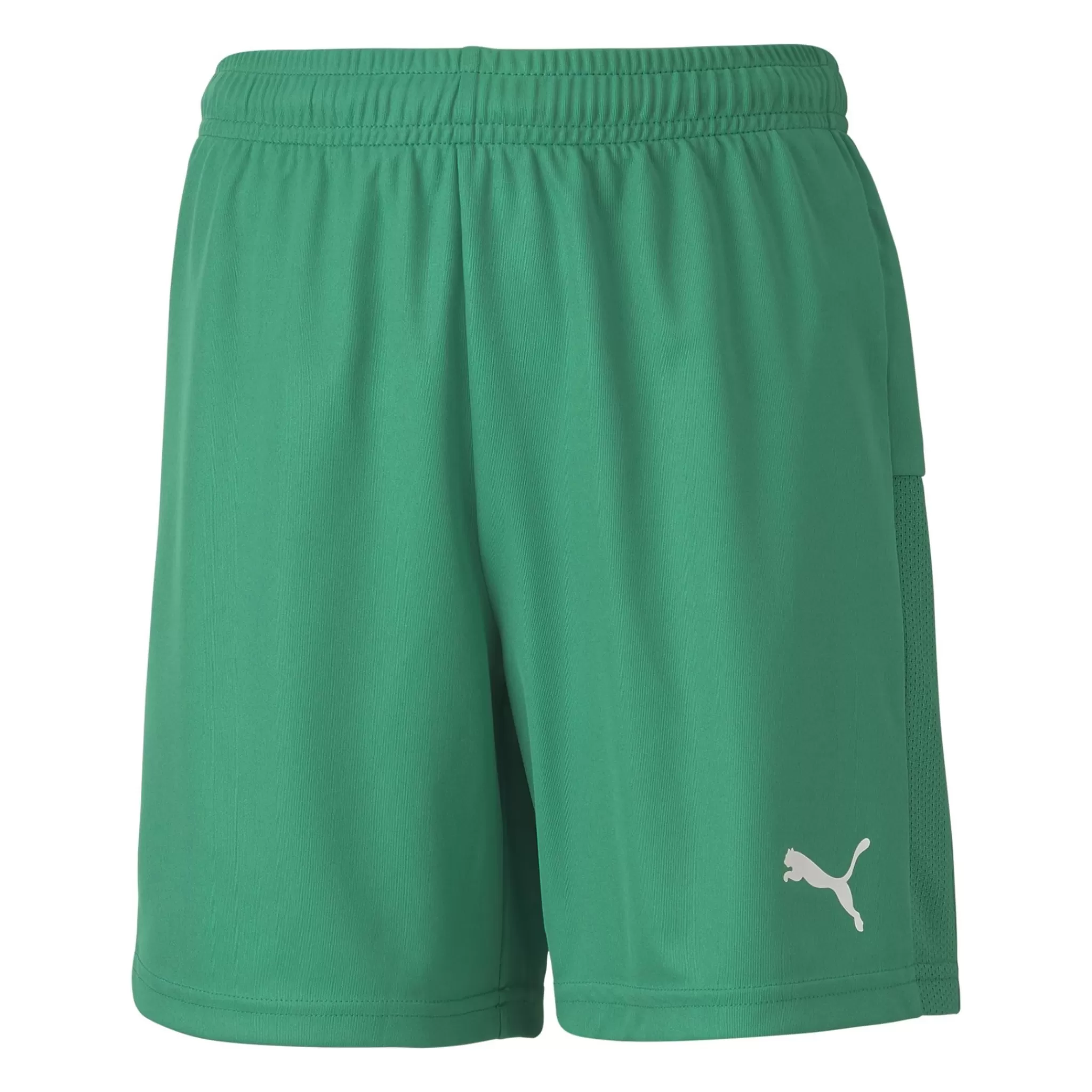 puma Teamgoal 23 Knit Shorts, Shorts Junior