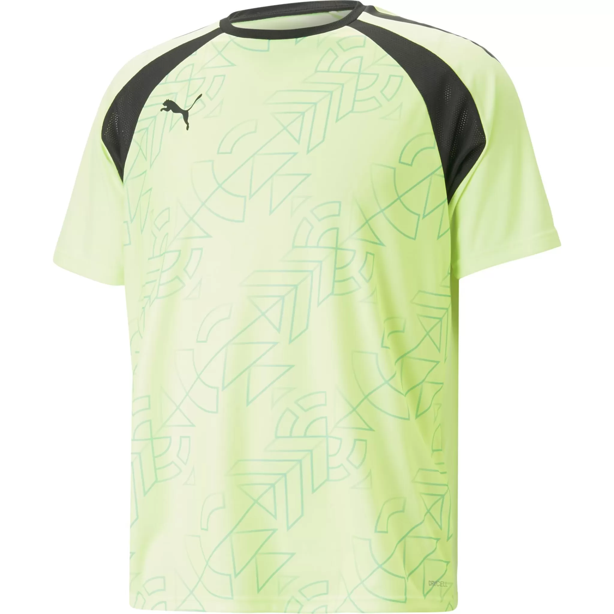 puma Teamliga Graphic Jersey, T-Skjorte, Herre