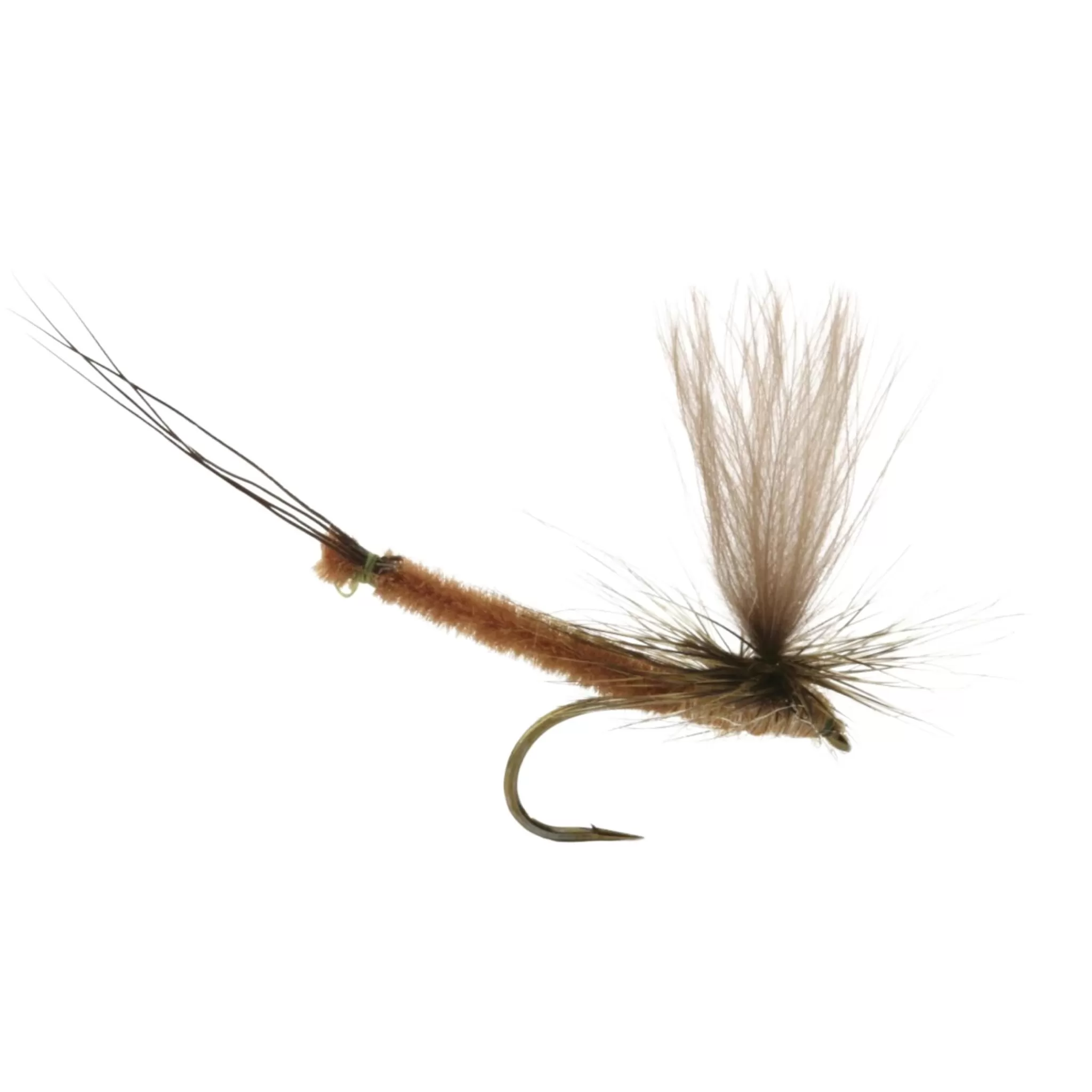 umpqua Vulgata Dun- 10